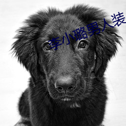 李小璐男人装
