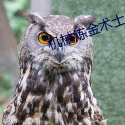 机械炼金术士