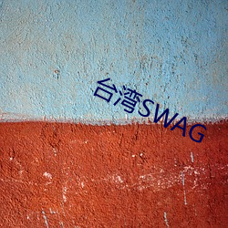 台(台)湾SWAG