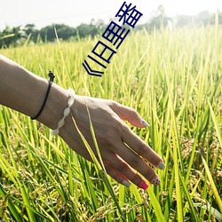 《旧(jiù)里(lǐ)番