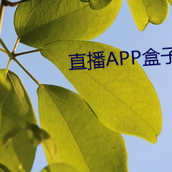 直播APP盒子