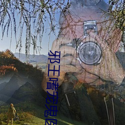 邪王嗜宠鬼医狂妃