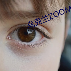 乌克兰ZOOM仙踪林