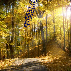 中国乱伦视频