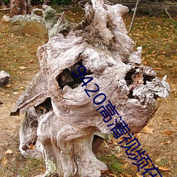 9420高清视频在(zài)线(xiàn)观看2023
