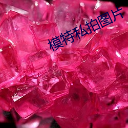 模特私拍图片(piàn)