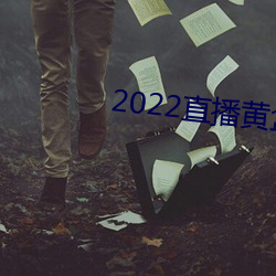 2022直播黄盒子