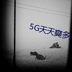 5G天天奭 \動入線網站