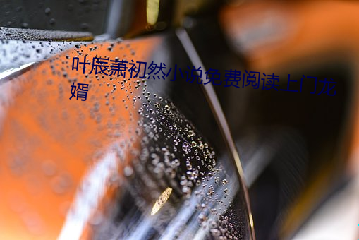 叶(葉)辰萧初然(然)小说免(免)费阅读上门龙婿(婿)