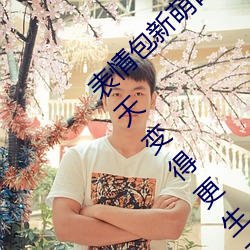 表情包新萌口碑!18款禁用動態表情包添加讓聊天變得更生動!