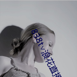 838t∨浪花直播app