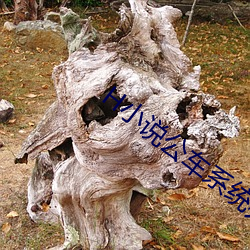 H小说公车系统列 （除秽布新）
