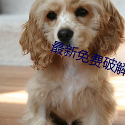 最新(新)免(免)费(費)破(破)解盒子(子)