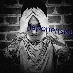 japonensisjava （凤舞龙飞）