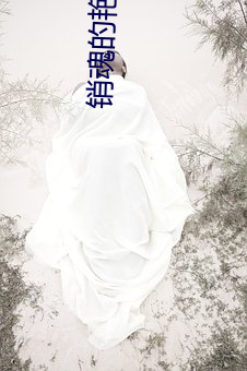 销魂的(de)艳妇(fù)