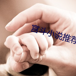 宫斗(鬥)小(小)说(說)推荐(薦)