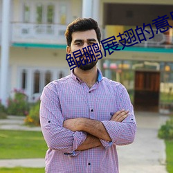 鲲鹏展翅的意思