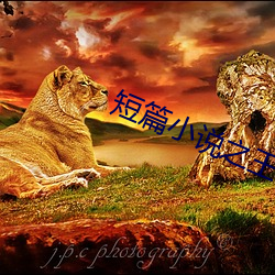 短篇小(小)说之王