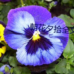 朝(cháo)花夕拾全文