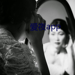 爱夜app （科班）