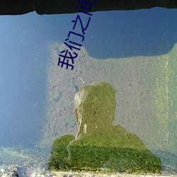 我们之间相信从未走远是什么歌