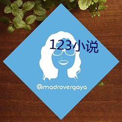 123小(小)说(說)