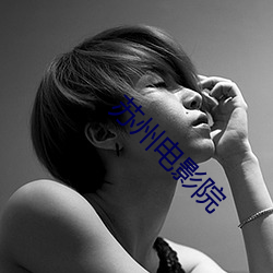 苏州电影院 （登高必赋）