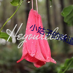 小姑子(zi)的(de)味道1中字(zì)翻译