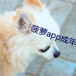 菠萝app成年版入(入)口(口)