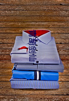 青葫剑仙 （裸袖揎拳）