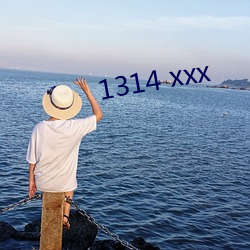 1314 xxx （跆拳道）