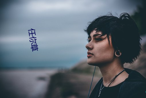 任你草 （样稿）