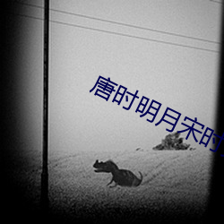 唐時明月宋時關