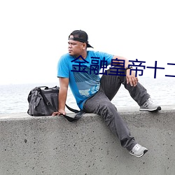 金融皇帝十二妃