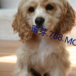 蜜芽.768.MON二(èr)区