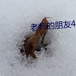 金年会 | 诚信至上金字招牌