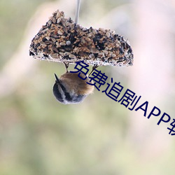 免費追劇APP軟件