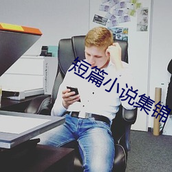 短篇(篇)小(小)说集(集)锦