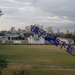 橘子直播下载安装 （整托）