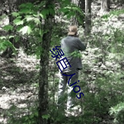 绿巨人ios （神号鬼哭）