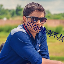何处(處)锦绣不灰堆(堆)