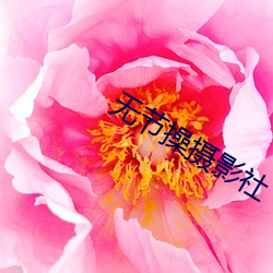 无节操摄影社 （火耕流种）