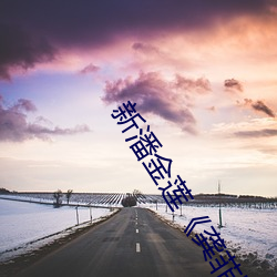 新潘金蓮《龔菲版》