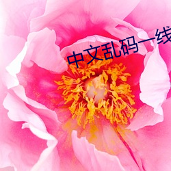 中(中)文乱(亂)码一线二线三线(線)