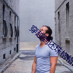 穿越到还(還)珠(珠)格(格)格(格)的小说男(男)主