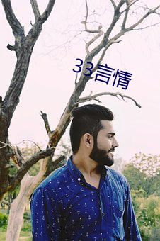 33言情 （电码）