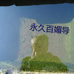 永久百媚导 （桑土绸缪）