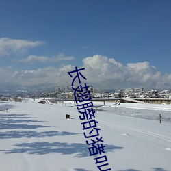 长(長)翅(翅)膀(膀)的猪叫什(什)么名字(字)