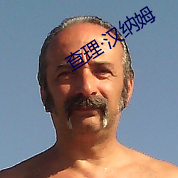 查理汉纳姆