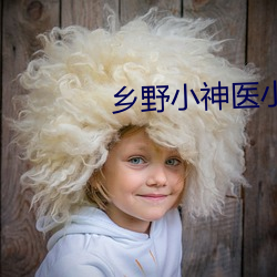 乡野小神医小说